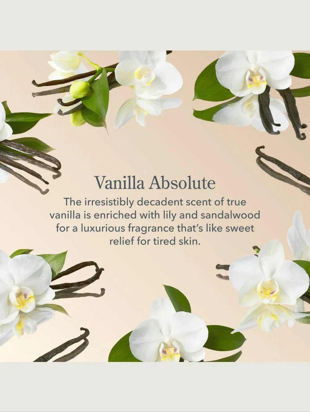 Beekman 1802 Vanilla Abosolute Soap Gift Pail Set